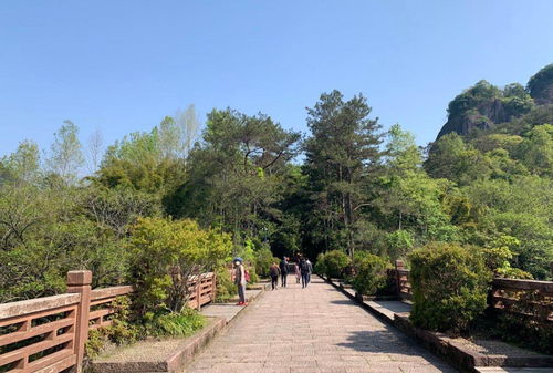 武夷山恢復(fù)開(kāi)放，全國(guó)醫(yī)護(hù)人員免費(fèi)游覽，多項(xiàng)優(yōu)惠政策助力旅游業(yè)復(fù)蘇