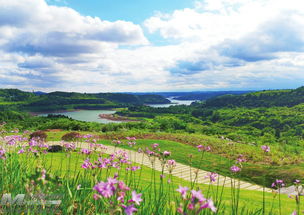 探索旅游景區(qū)建設(shè)管理新路徑 創(chuàng)新旅行社服務(wù)網(wǎng)點(diǎn)與旅游招徠模式