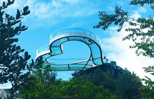 端午假期百里杜鵑游覽須知及攻略 旅行社服務(wù)網(wǎng)點(diǎn)旅游招徠指南