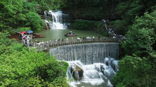 “水”力全開，優化游覽景區管理