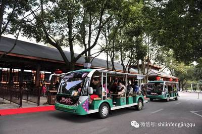 石林榮膺省市名牌產品稱號，旅行社服務網點助力旅游招徠