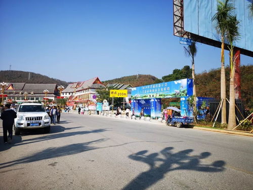 勐海縣市場監督管理局強化2019年首屆打洛口岸工藝品展銷會及旅行社服務監管